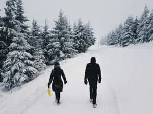 Snow Walk Winter Wonderland Picture