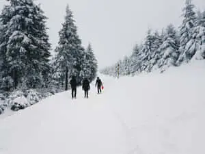 Snow Landscape Winter Wonderland Picture