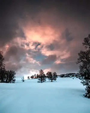 Whimsical Snow Winter Wonderland Picture